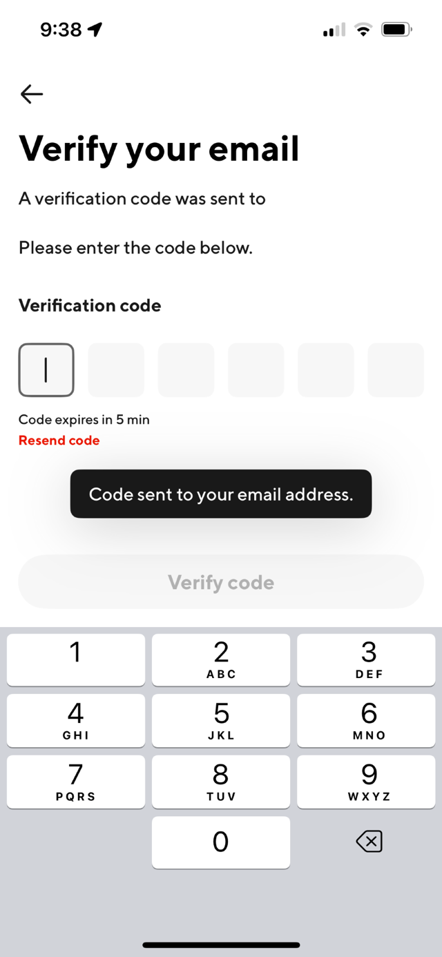 Verification code entry screen