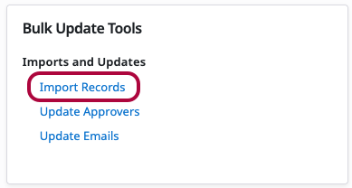 Import Records option under Bulk Update Tools